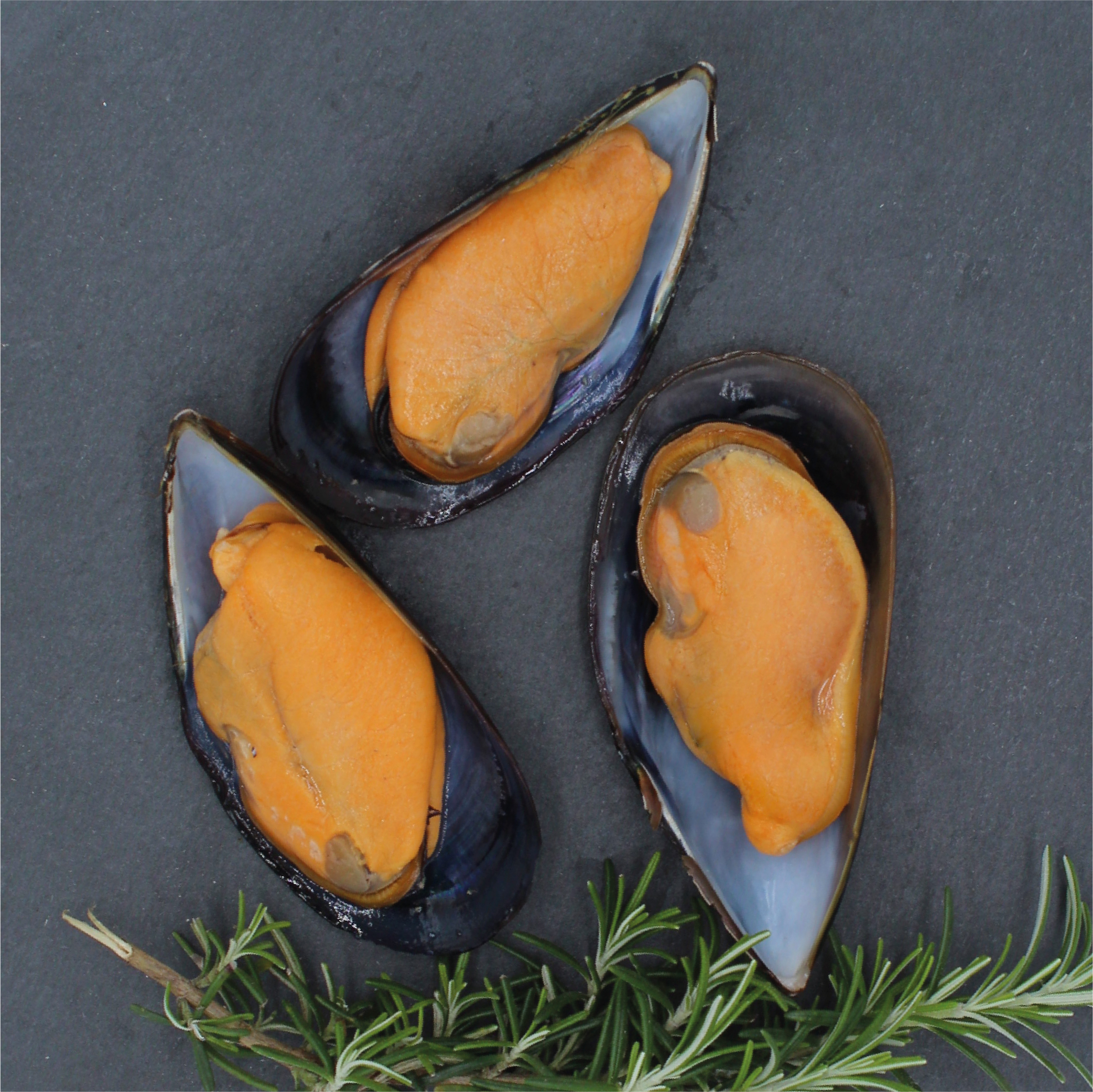 Mejillones gallegos